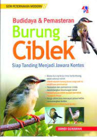 Budidaya & Pemasteran Burung Ciblek