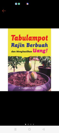 Tabulampot Rajin Berbuah dan Menghasilkan Uang!
