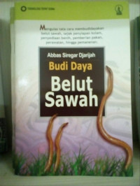 Budidaya Belut Sawah