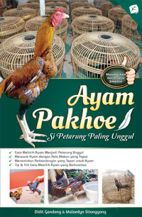 Ayam Pakhoe Si Petarung Paling Unggul