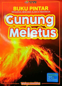Buku Pintar Mengenal Bencana Alam di Indonesia Gunung Meletus